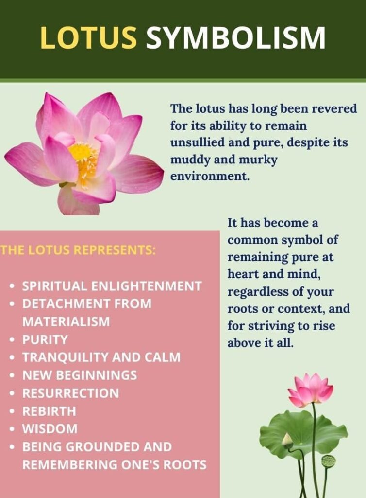 Lotus Rebirth Symbolism, Resurrection Myths Comparison