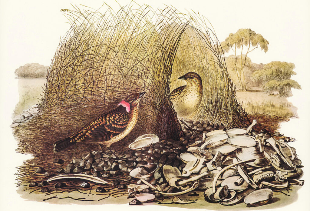 Latest Health Updates, Expert Advice, and Wellness Trends 65190