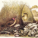 Latest Health Updates, Expert Advice, and Wellness Trends 65190