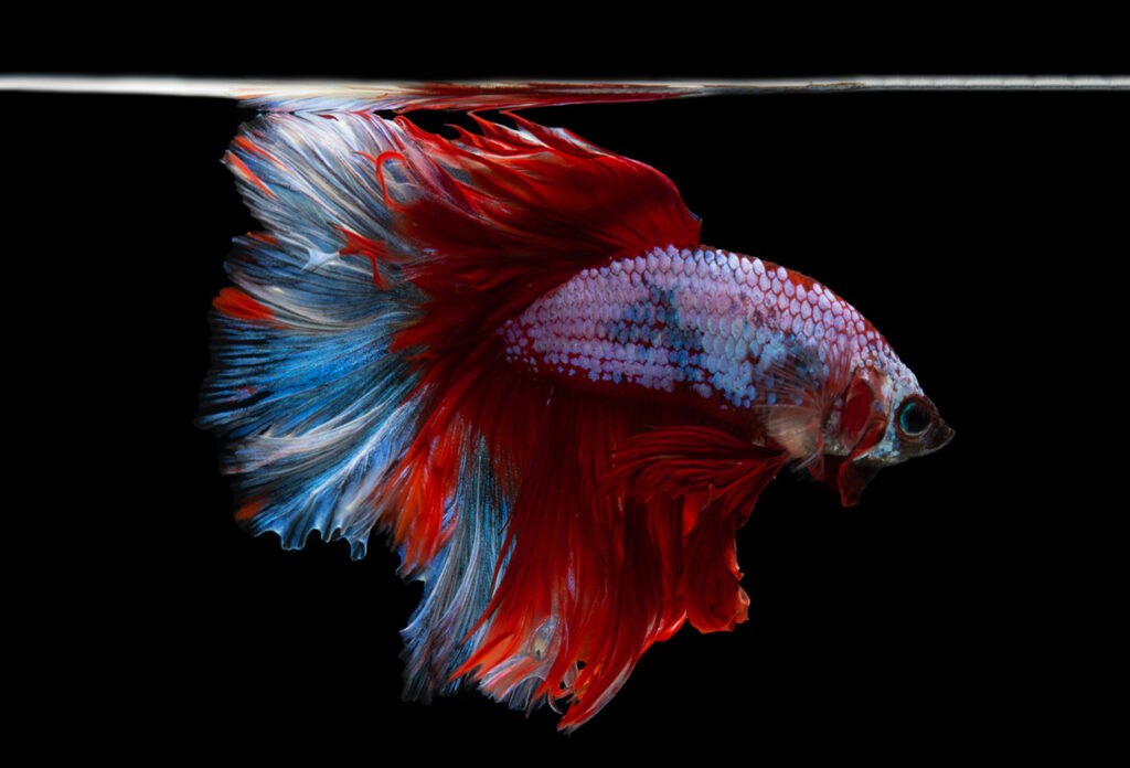 Latest Business Insights, Market Trends, and Global Economy Updates 7900