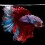 Latest Business Insights, Market Trends, and Global Economy Updates 7900